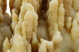 Fascinating, Calcite/Aragonite Stalactite Formation - China #377336-5